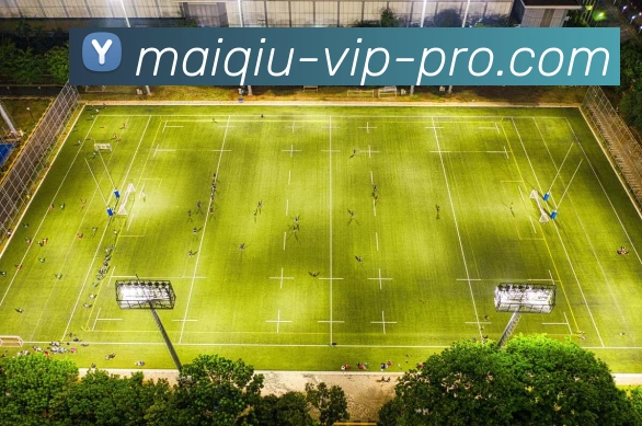 买球APP 高清赛事图